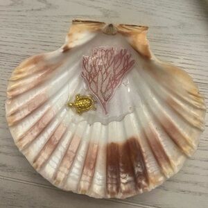 Decorative Shell with Coral and Turtle Accent